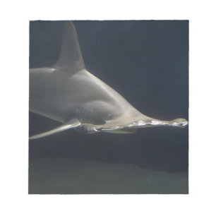 Bloc-note Requin de poisson-marteau