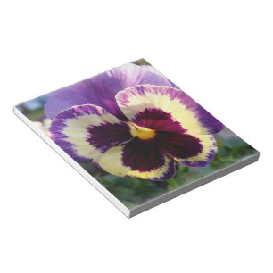 Bloc-note ressort coloré Pansy