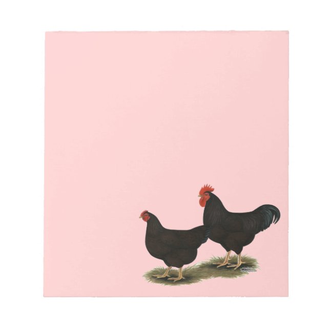 Bloc-note Rhode Island Red Bantams (Devant)
