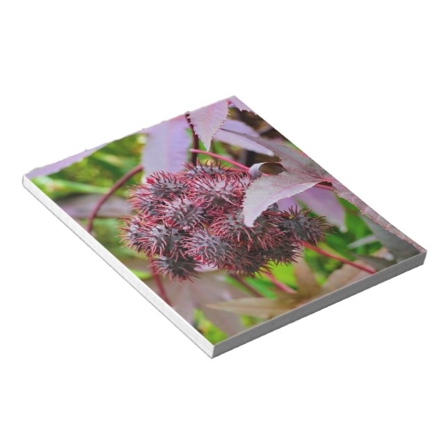 Bloc-note Ricinus communis (Incliné)