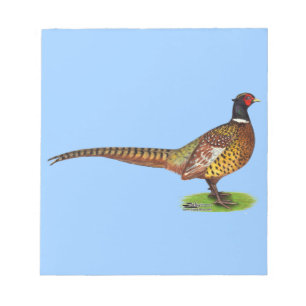 Bloc-note Ringneck Pheasant Rooster