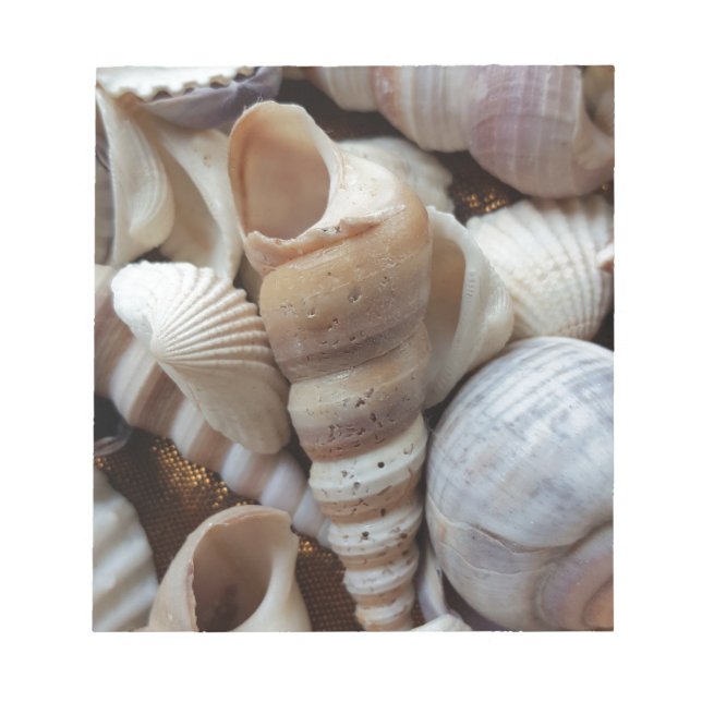 Bloc-note Romantique Tropical Exotic Sea Shells Plage Amour (Devant)