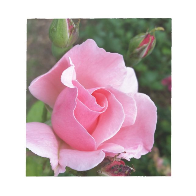 Bloc-note rose (Devant)