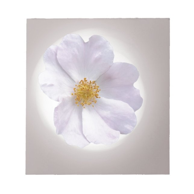 Bloc-note rose à violet (Devant)