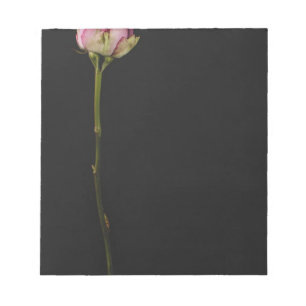 Bloc-note Rose rose rose 3