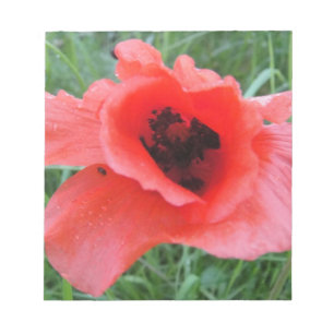 Bloc-note Roter Mohnblumenkelch