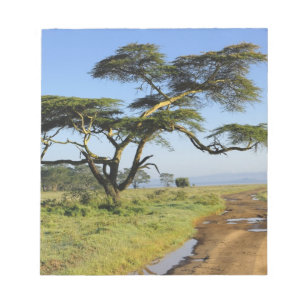 Bloc-note Route de terre primitive et acacia, lac Nakuru