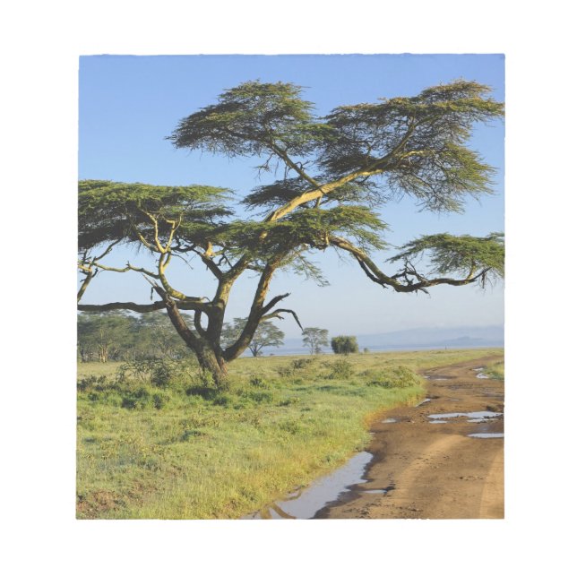 Bloc-note Route de terre primitive et acacia, lac Nakuru (Devant)