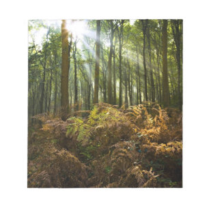 Bloc-note Royaume-Uni, Angleterre. Rayons de soleil traversa