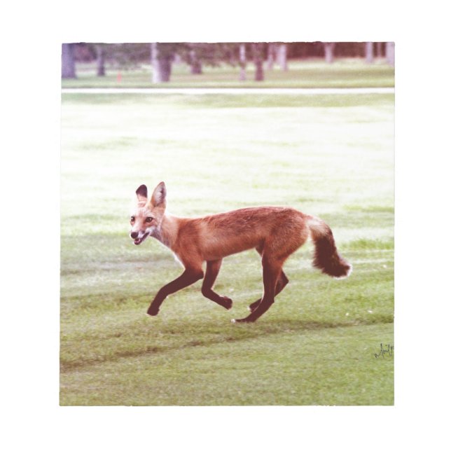 Bloc-note running red fox photographe (Devant)