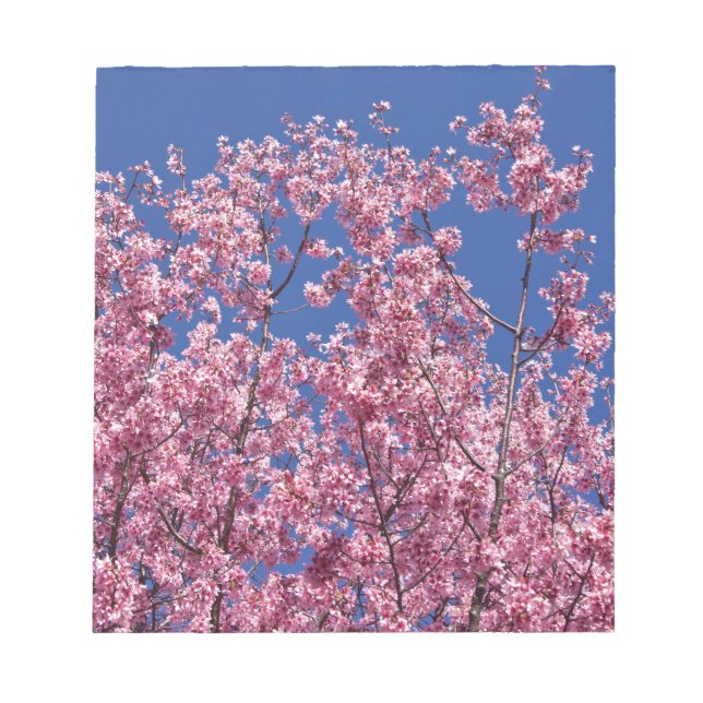 Bloc-note Sakura Cerisiers en Fleur Dans Le Bleu (Devant)