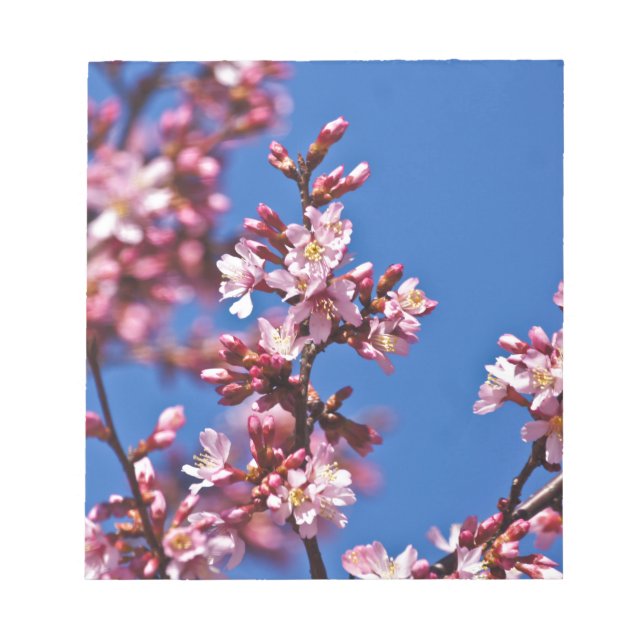 Bloc-note Sakura Cerisiers en Fleur Touchant le Bleu (Devant)