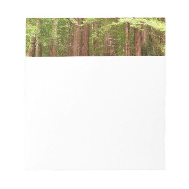Bloc-note Séquoias de Muir Woods National Monument (Devant)