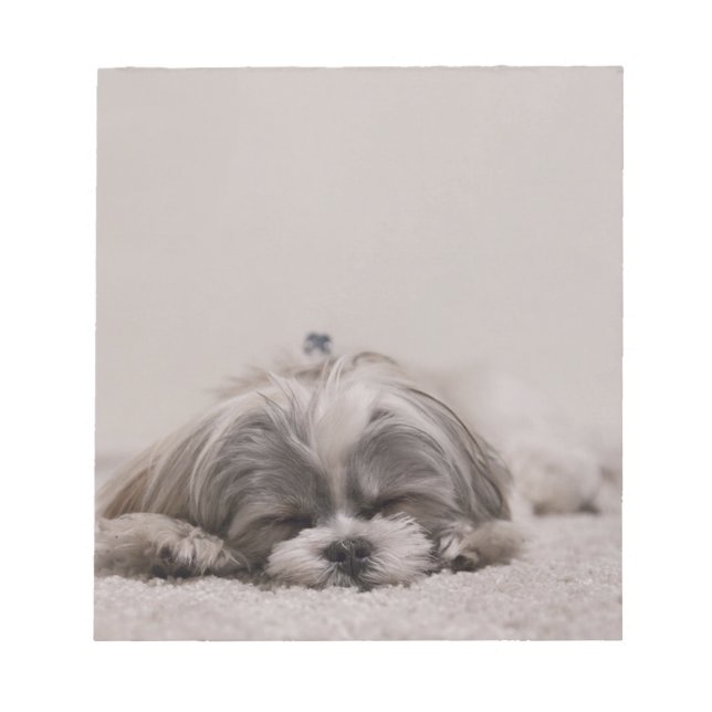 Bloc-note Shih tzu Sleeping Notepad , Sleeping Dog (Devant)