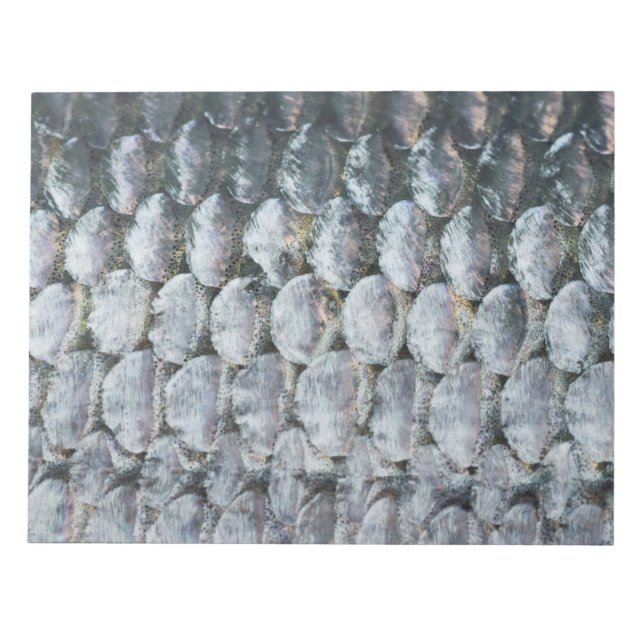 Bloc-note Shiny Salmon Scales (Devant)