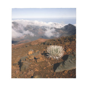 Bloc-note Silversword sur le bord du cratère Haleakala depui