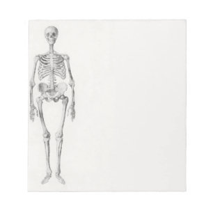 Bloc-note Skeleton Skull