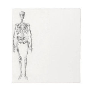 Bloc-note Skeleton Skull