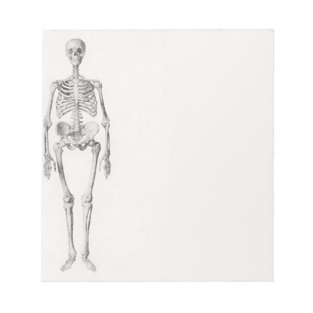 Bloc-note Skeleton Skull (Devant)
