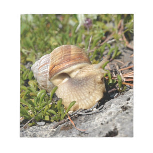 Bloc-note Snail of Burgundy in the french Alps
