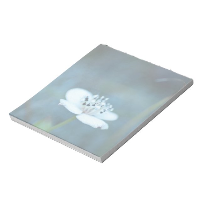 Bloc-note Souvenirs d'été (Tourné)