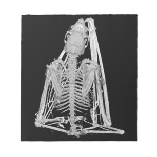 Bloc-note Squelette de chauve-souris gothique effrayant