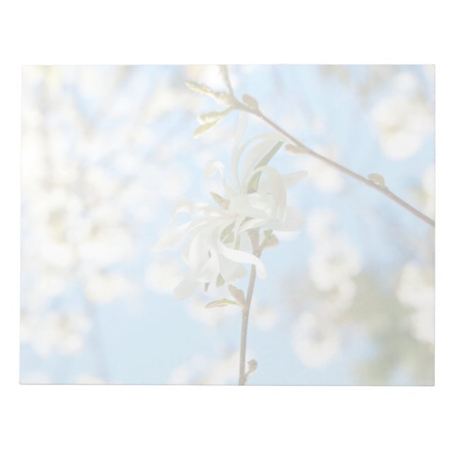 Bloc-note Starry Magnolia 6490 (Devant)