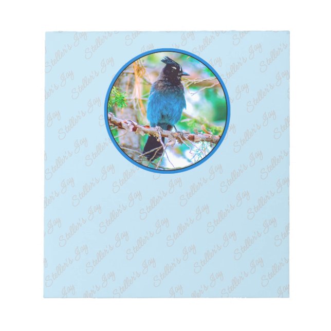 Bloc-note Steller's Jay - Photographie originale (Devant)