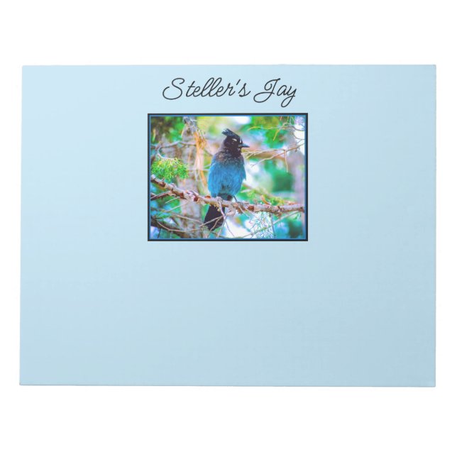 Bloc-note Steller's Jay - Photographie originale (Devant)