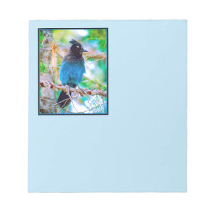 Bloc-note Steller's Jay - Photographie originale