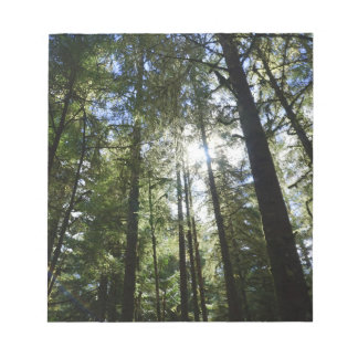 Bloc-note Sunlight Through Pine Trees