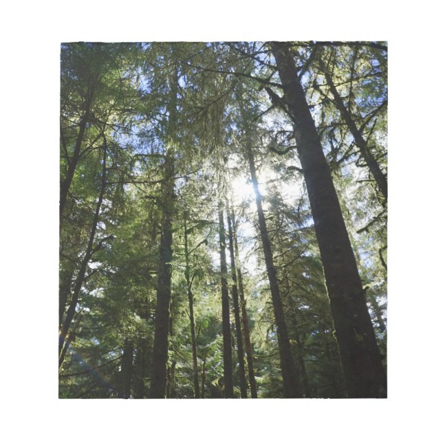 Bloc-note Sunlight Through Pine Trees (Devant)