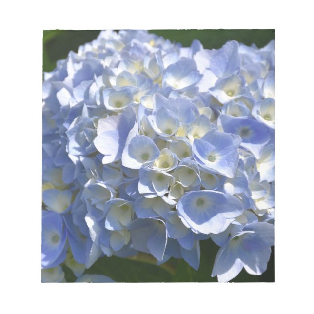 Bloc-note Superbe Hydrangea Bush à fleurs bleu clair (Devant)