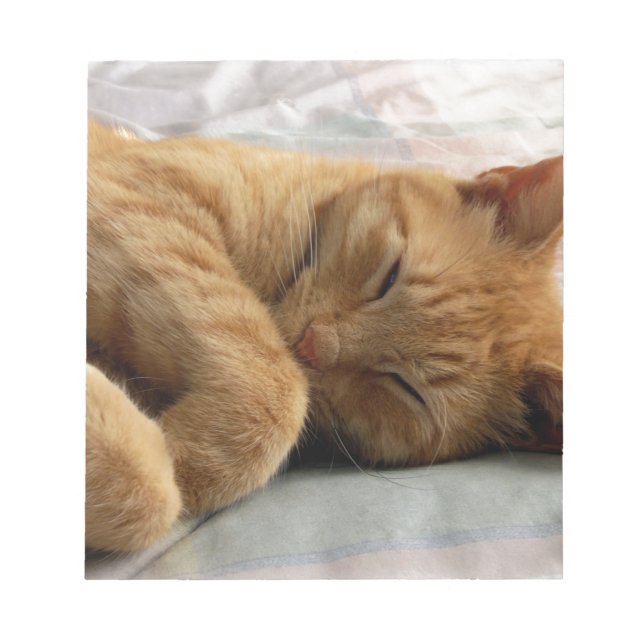 Bloc-note Sweet Dreams (Devant)