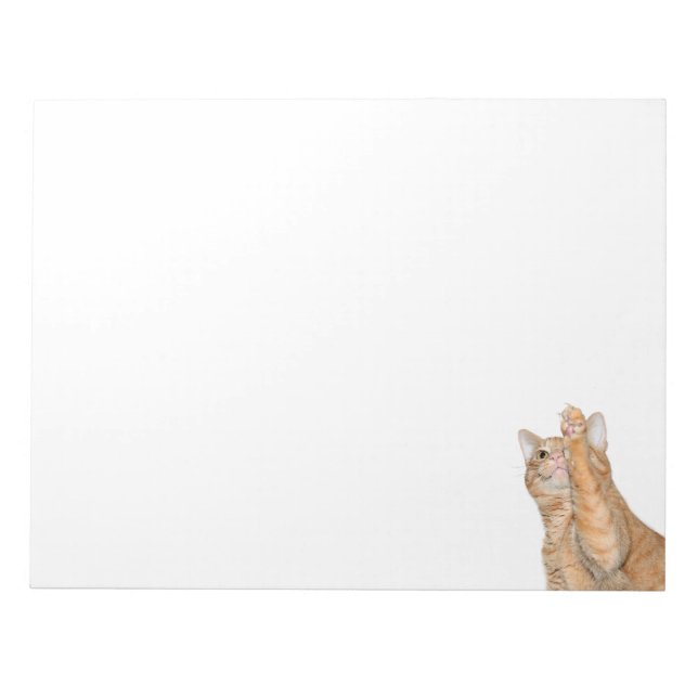 Bloc-note Tabby orange en jeu (Devant)