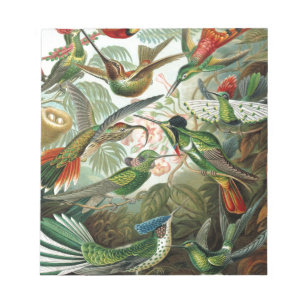 Bloc-note tableau classique de la faune des oiseaux colibris