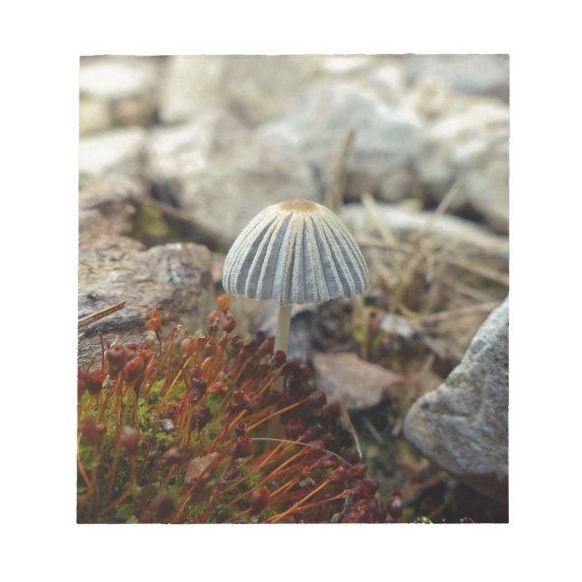 Bloc-note Tabouret minuscule (Devant)