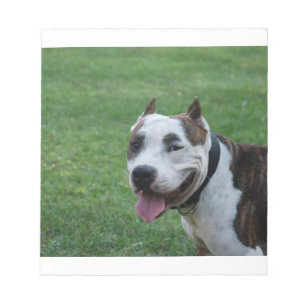 Bloc-note terrier pit bull américain souriant