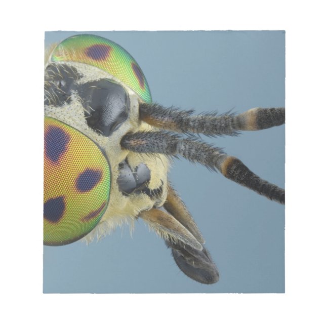 Bloc-note Tête de mouche de cerf (Devant)