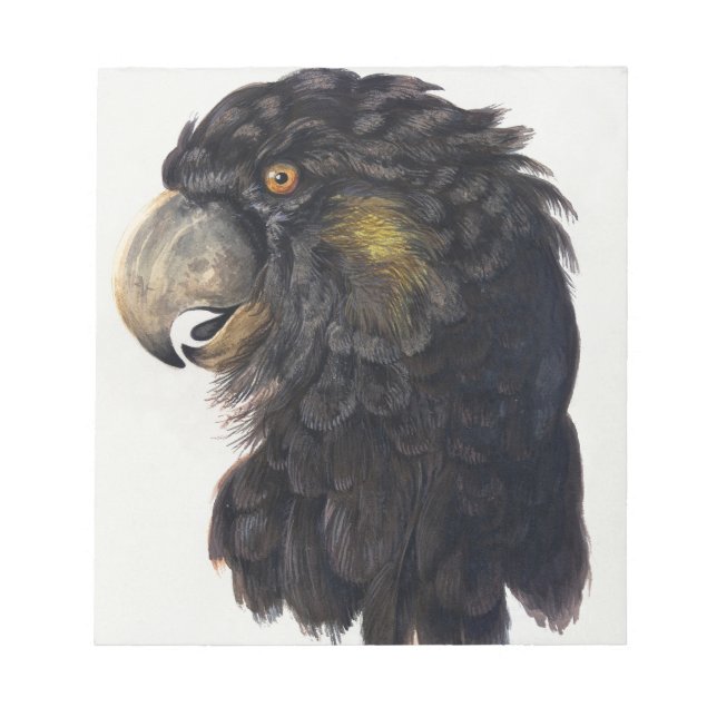 Bloc-note Tête d'oiseau Aert Schouman (Devant)