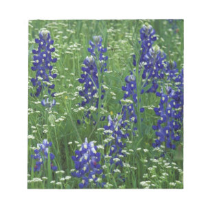 Bloc-note Texas, lac Buchanan. Bleuet du Texas et sauvage