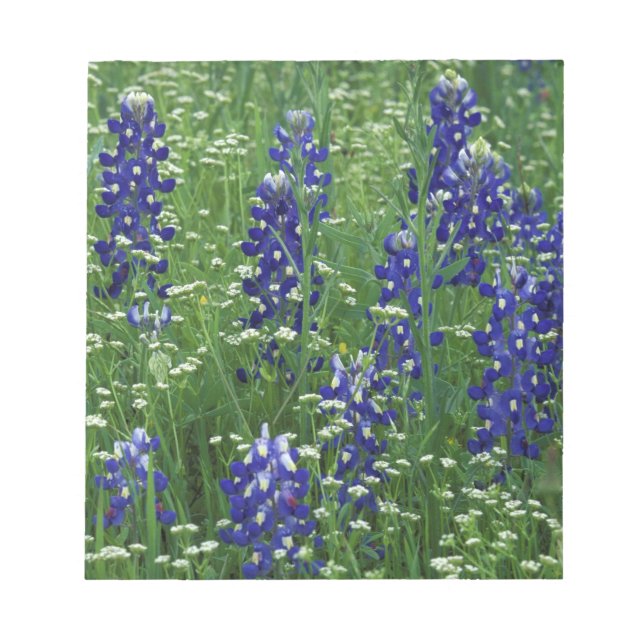 Bloc-note Texas, lac Buchanan. Bleuet du Texas et sauvage (Devant)
