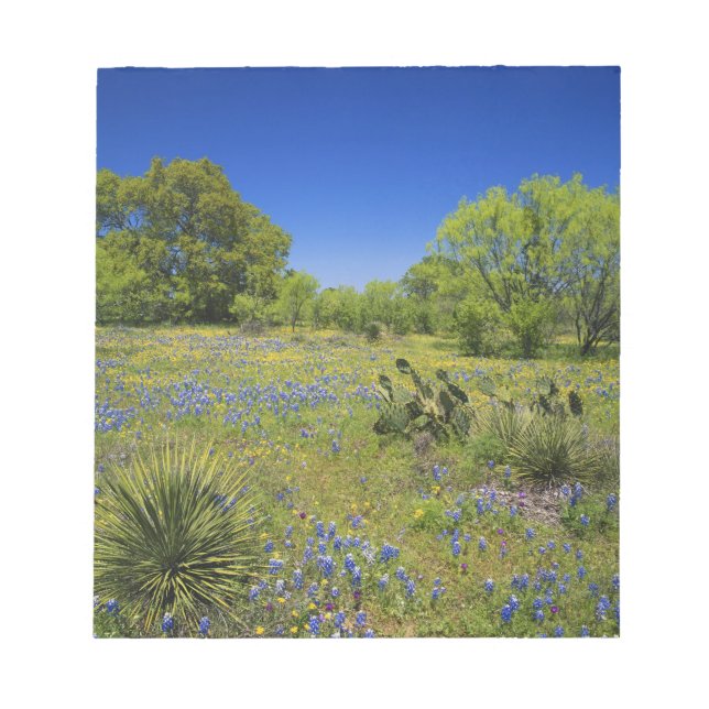 Bloc-note Texas, Texas Hill Country, Low vescie, (Devant)