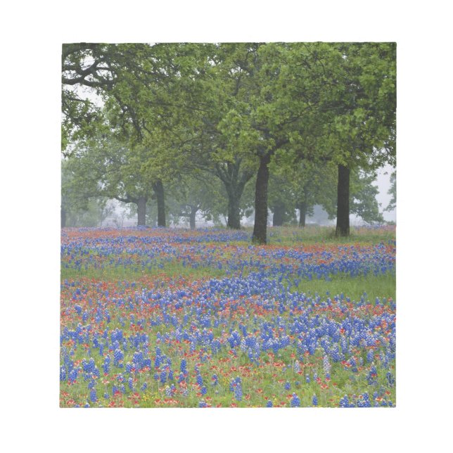 Bloc-note Texas, Texas Hill Country, Texas Paintbrush et (Devant)