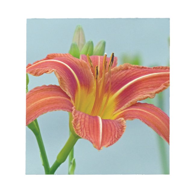 Bloc-note Tiger Daylily (Devant)