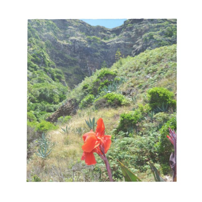 Bloc-note Tir d'un Indien (Canna indica purpurea) (Devant)