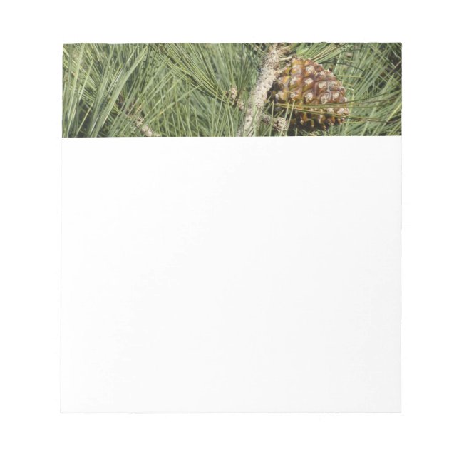 Bloc-note Torrey Pine Closeup California Botanical (Devant)
