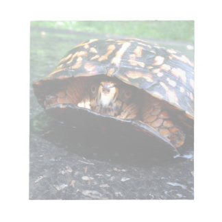 Bloc-note Tortue