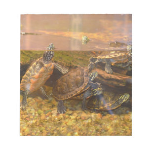 Bloc-note Tortue à ventre rouge (Alabama)