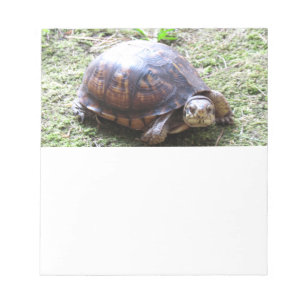Bloc-note Tortue - Chemin Mossy